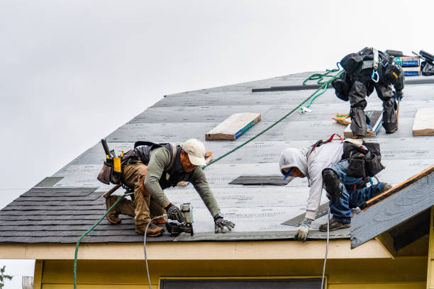 Professional Gutter Installation technician working in Bertha, MN